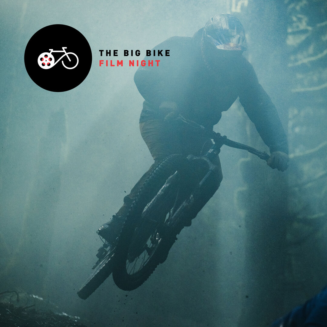 De filmcollectie van 2026 bevat onder andere: