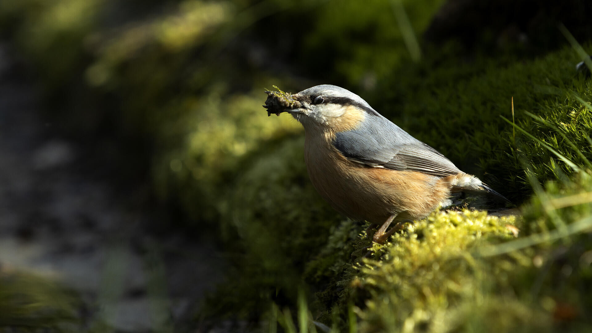 Expositie NatuurFotoClub "De Langstraat"