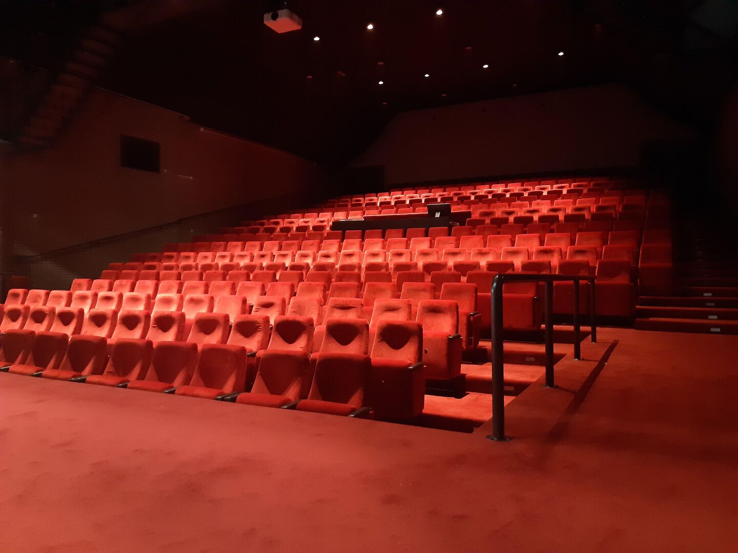 Nieuw onze filmkaart